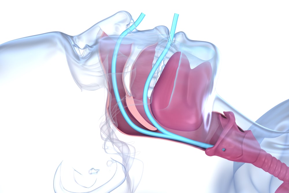 Medically accurate dental 3D illustration